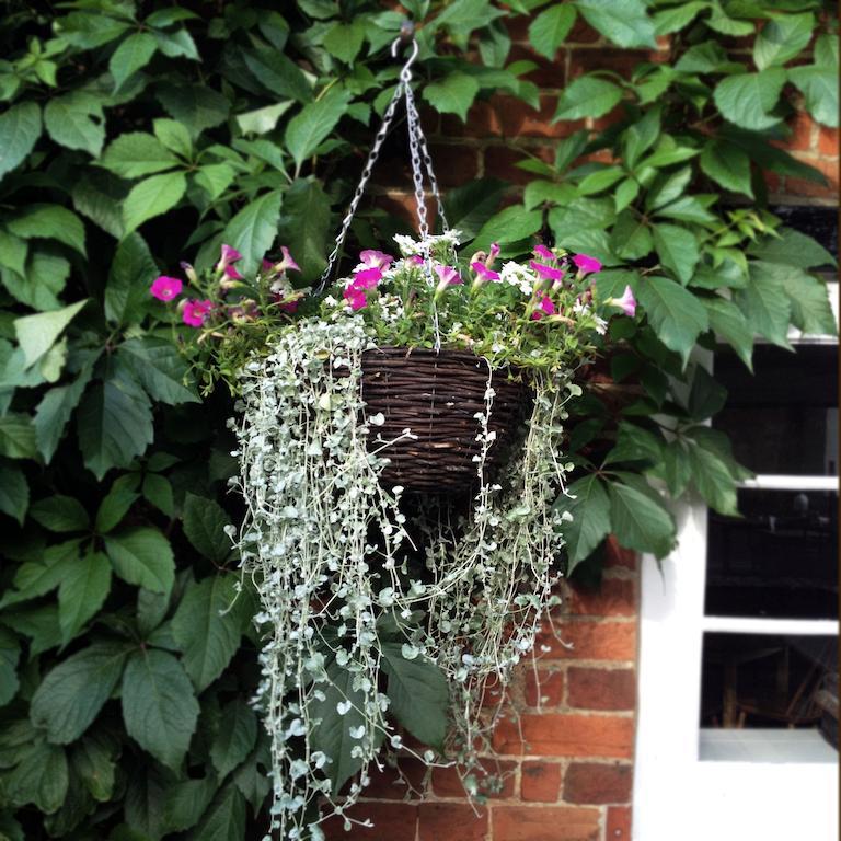 The Hundred Of Ashendon Bed & Breakfast Waddesdon Eksteriør bilde